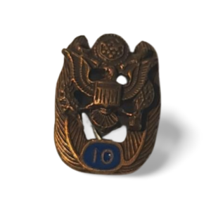 JAV federalinės tarnybos 10 metų atminimo ženklelis
